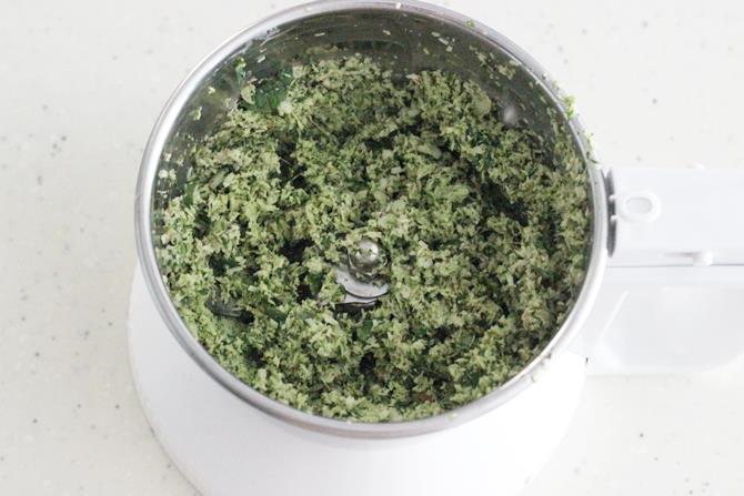 blended coconut mint paste