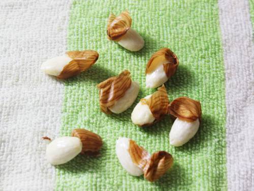 peel the almonds to make yogurt