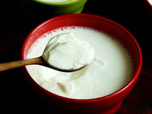 how to make curd or dahi