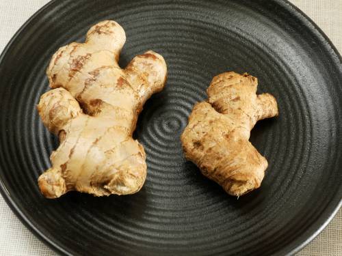 fresh ginger - hybrid and non-hybrid