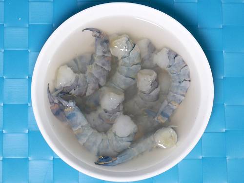 brined shrimp